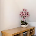 Caroline Magg Apartamento